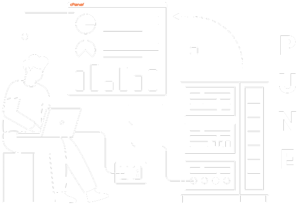cPanel Hosting Pune